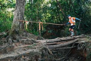 BIB: 
                            <button type="button" onclick="openModal(27751826)" class="btn btn-primary btn-sm float-right btn-popup" data-toggle="modal" data-target=".modal-high-quality">
                        <i class="fas fa-shopping-cart"></i> Add to Cart
                    </button>
                                            <button type="button" onclick="isThisMe(27751826, true)" class="btn btn-success btn-sm float-right btn-popup btn-isme hidden" data-toggle="tooltip" data-placement="bottom" title="นี่คือรูปของคุณใช่ไหม คลิกที่นี่เพื่อเอาเข้าอัลบั้ม">
                        <i class="fas fa-plus"></i> Add to album
                    </button>
                    <button type="button" onclick="isThisMe(27751826, false)" class="btn btn-warning btn-sm float-right btn-popup btn-isnotme hidden">
                        <i class="fas fa-ban"></i> Remove from album
                    </button>